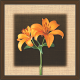 Floral Art Paintings (FS-1178)